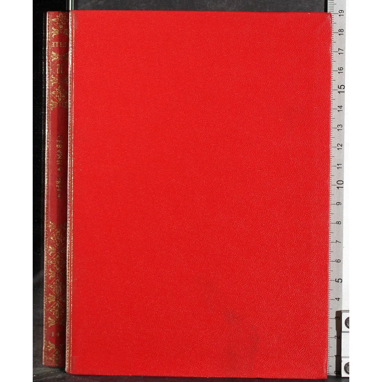 Elite. Ceramica Greca