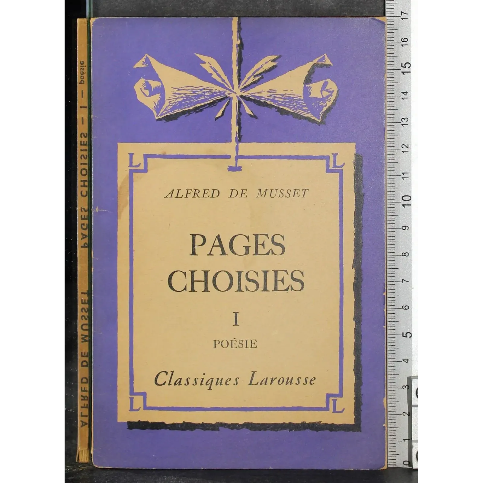 Pages Choisies I Poesie