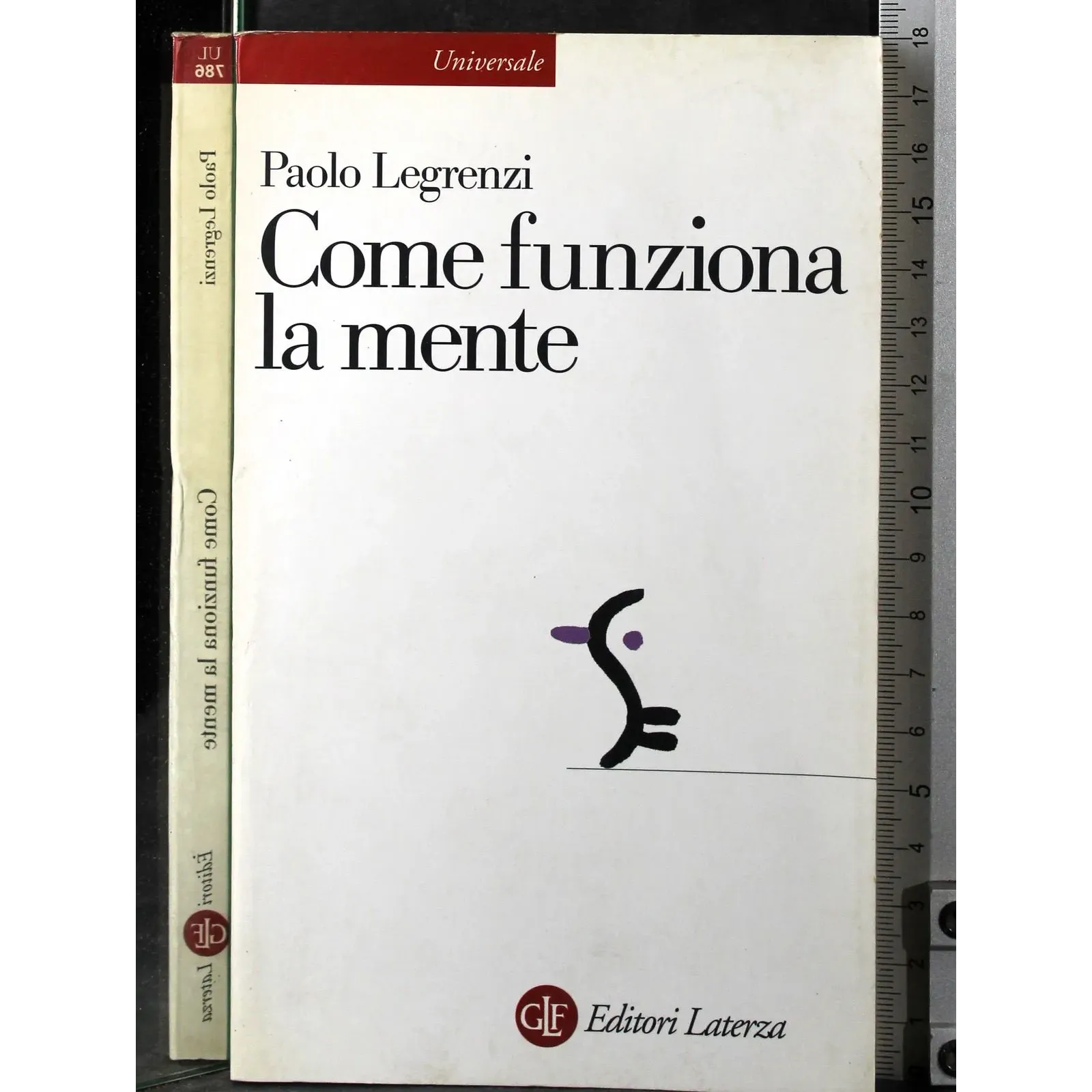 Come funziona la mente