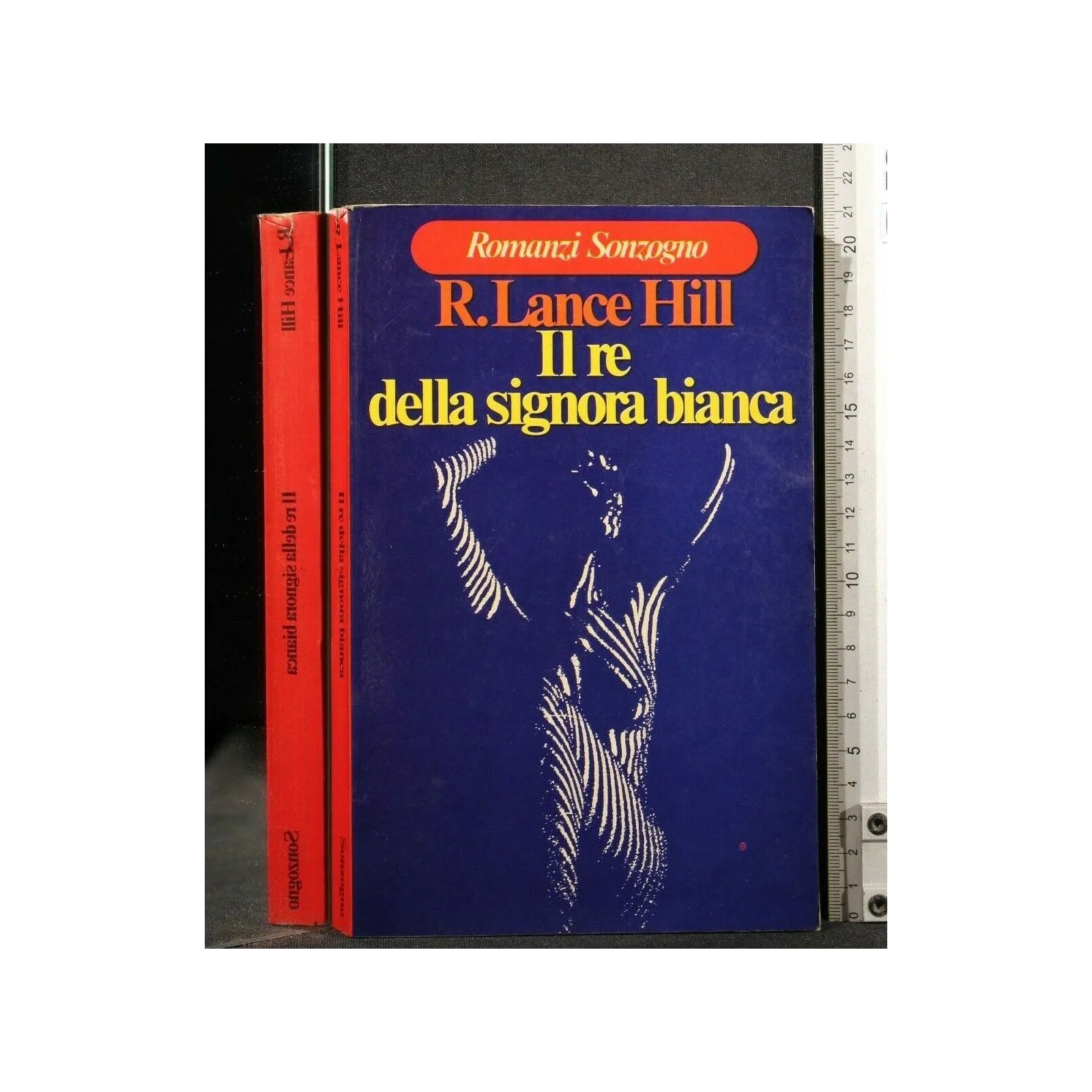 IL RE DELLA SIGNORA BIANCA