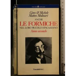 ANCHE LE FORMICHE NEL LORO PICCOLO S'INCAZZANO