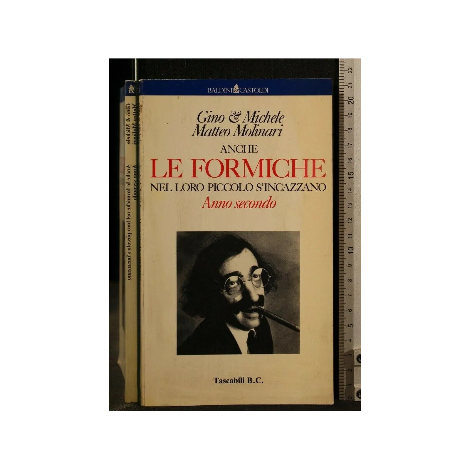 ANCHE LE FORMICHE NEL LORO PICCOLO S'INCAZZANO