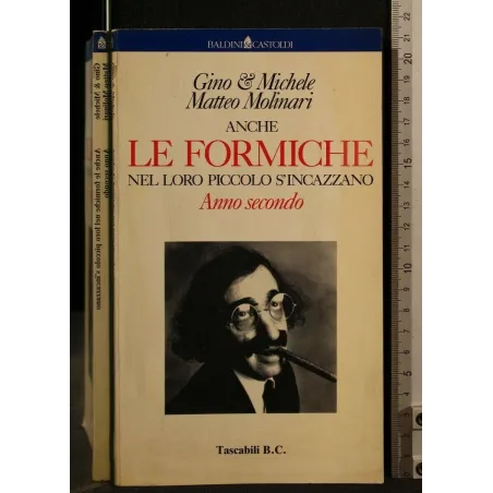 ANCHE LE FORMICHE NEL LORO PICCOLO S'INCAZZANO