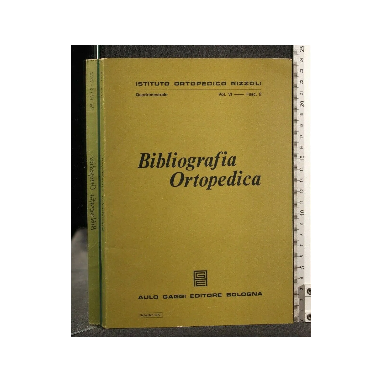 BIBLIOGRAFIA ORTOPEDICA VOL VI FASC 2 SETTEMBRE 1972