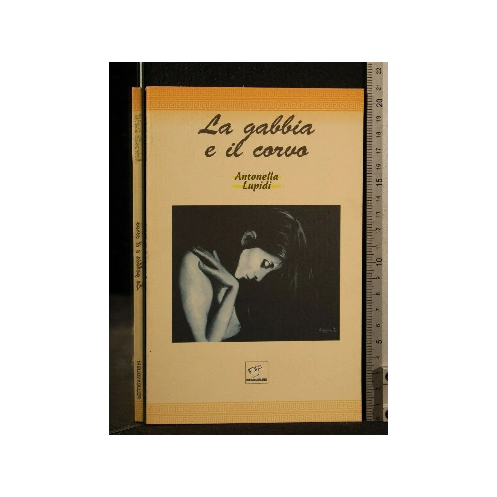 LA GABBIA E IL CORVO