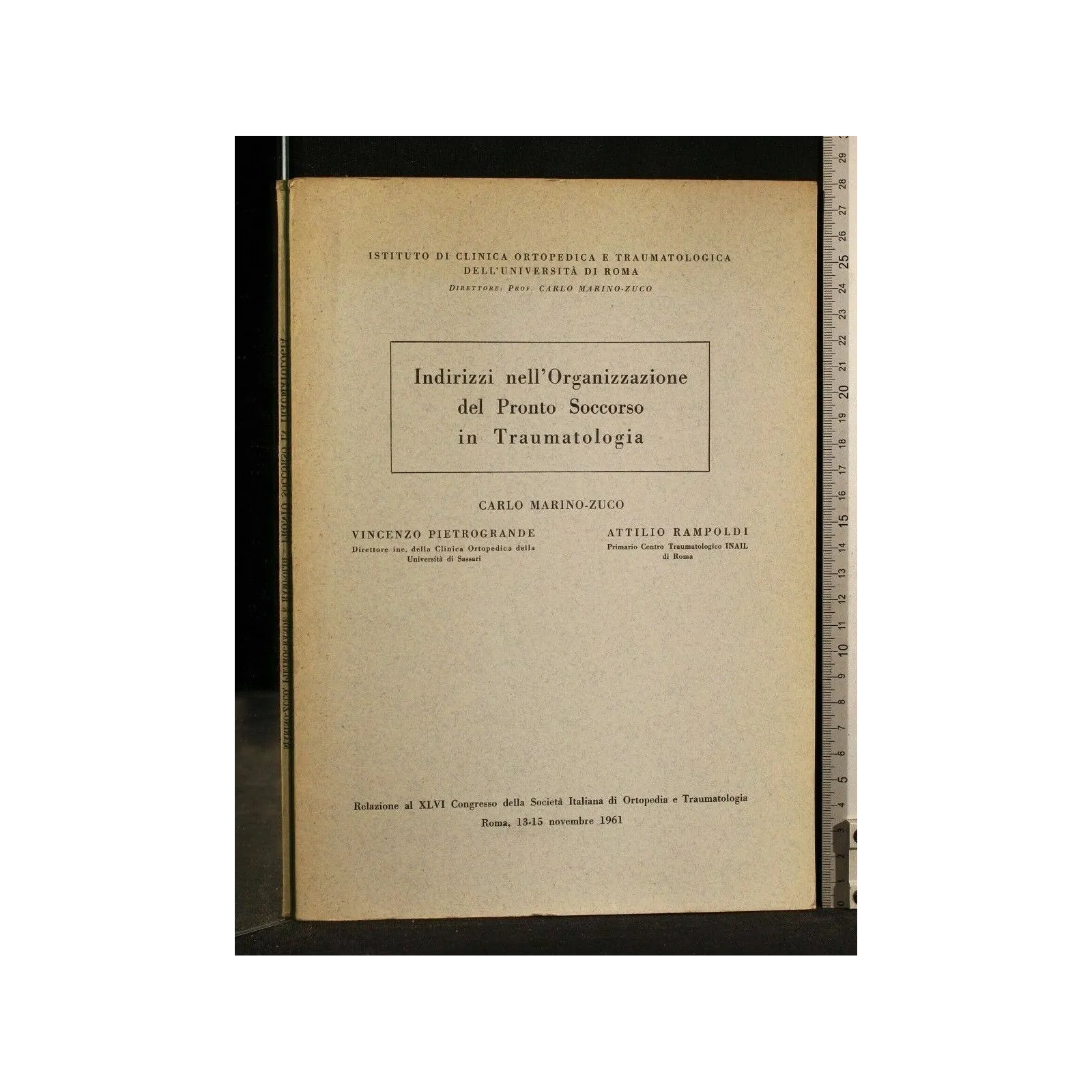 INDIRIZZI NELL'ORGANIZZAZIONE DEL PRONTO SOCCORSO IN