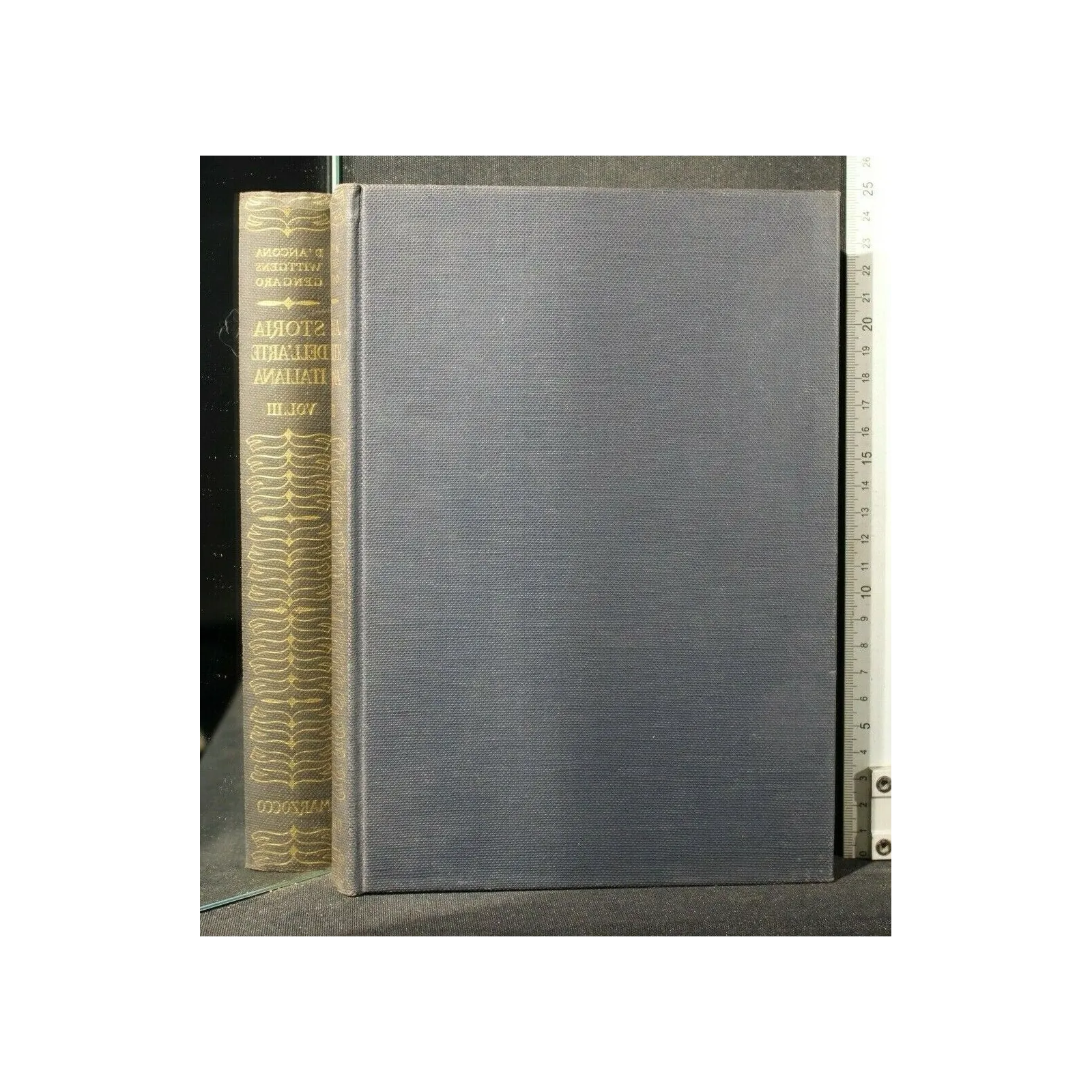 STORIA DELL'ARTE ITALIANA VOLUME 3