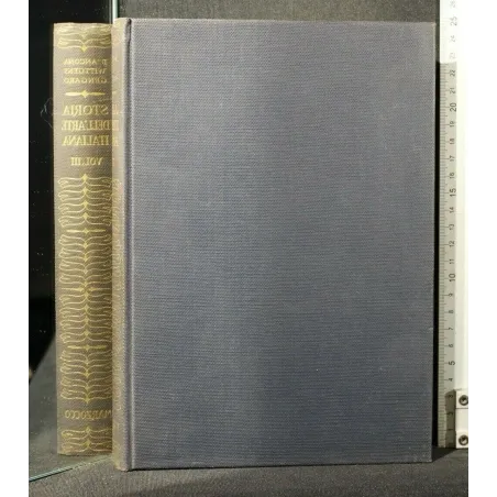 STORIA DELL'ARTE ITALIANA VOLUME 3