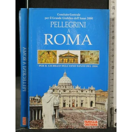 PELLEGRINI A ROMA