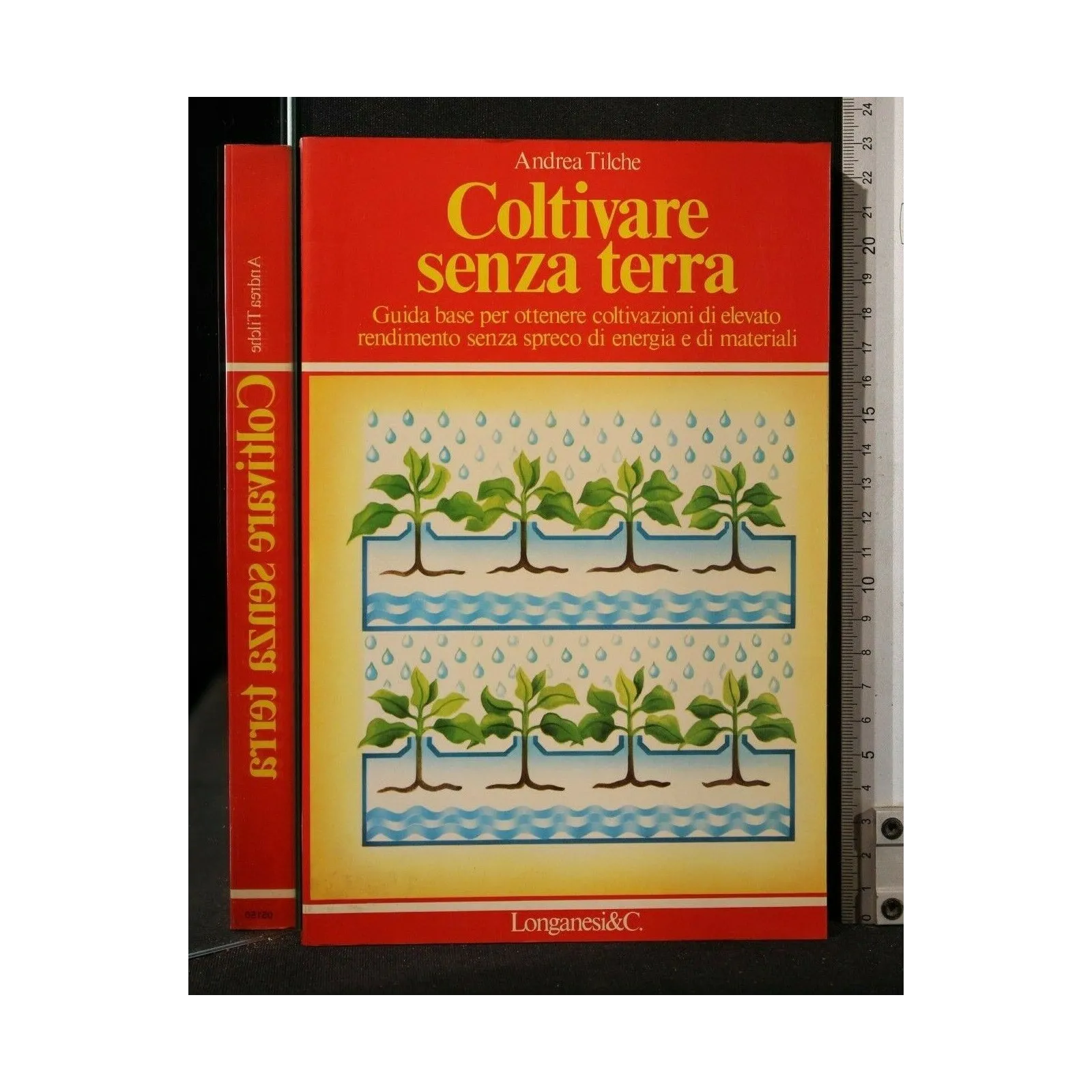 COLTIVARE SENZA TERRA