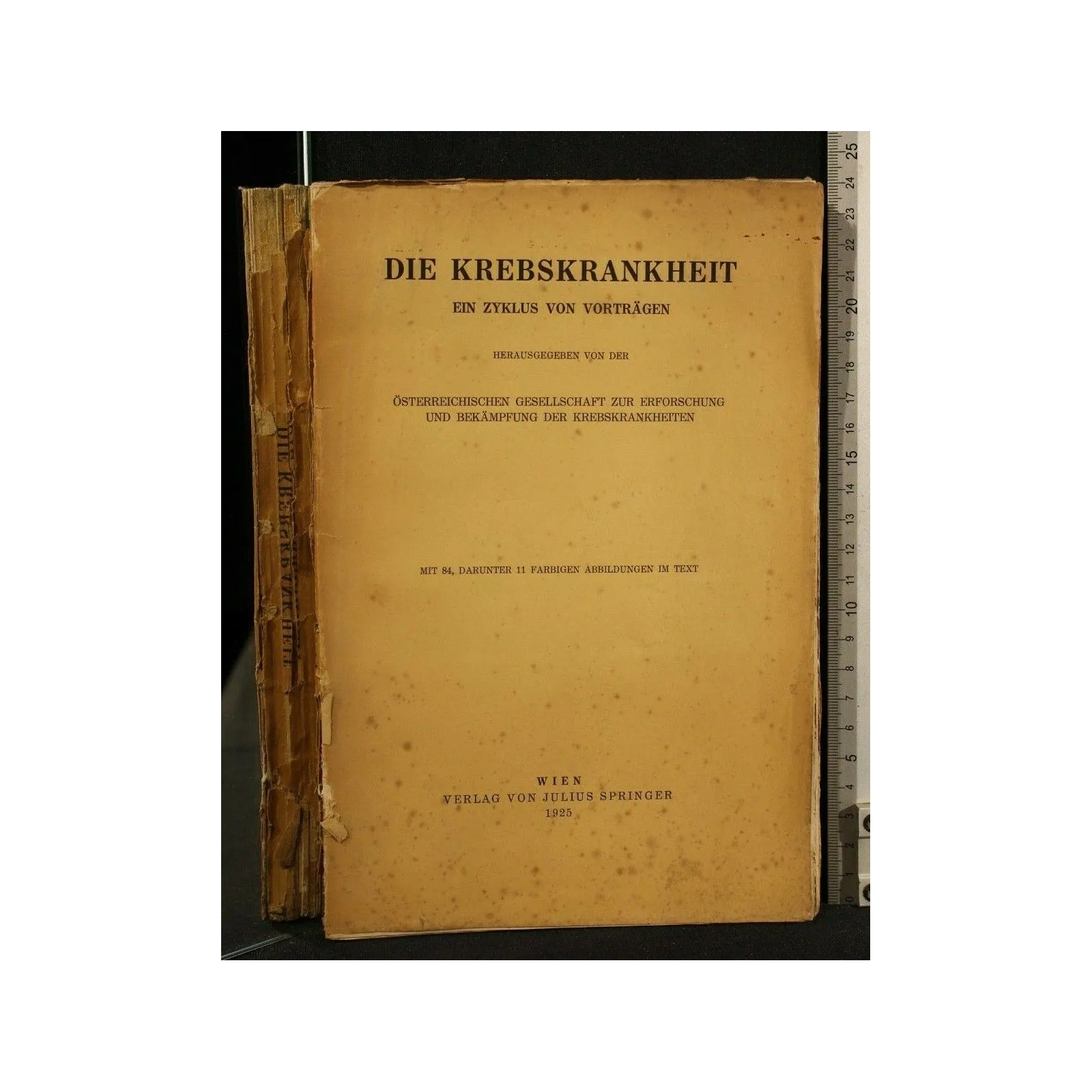 DIE KREBSKRANKHEIT EIN ZYKLUS VON VORTRAGEN