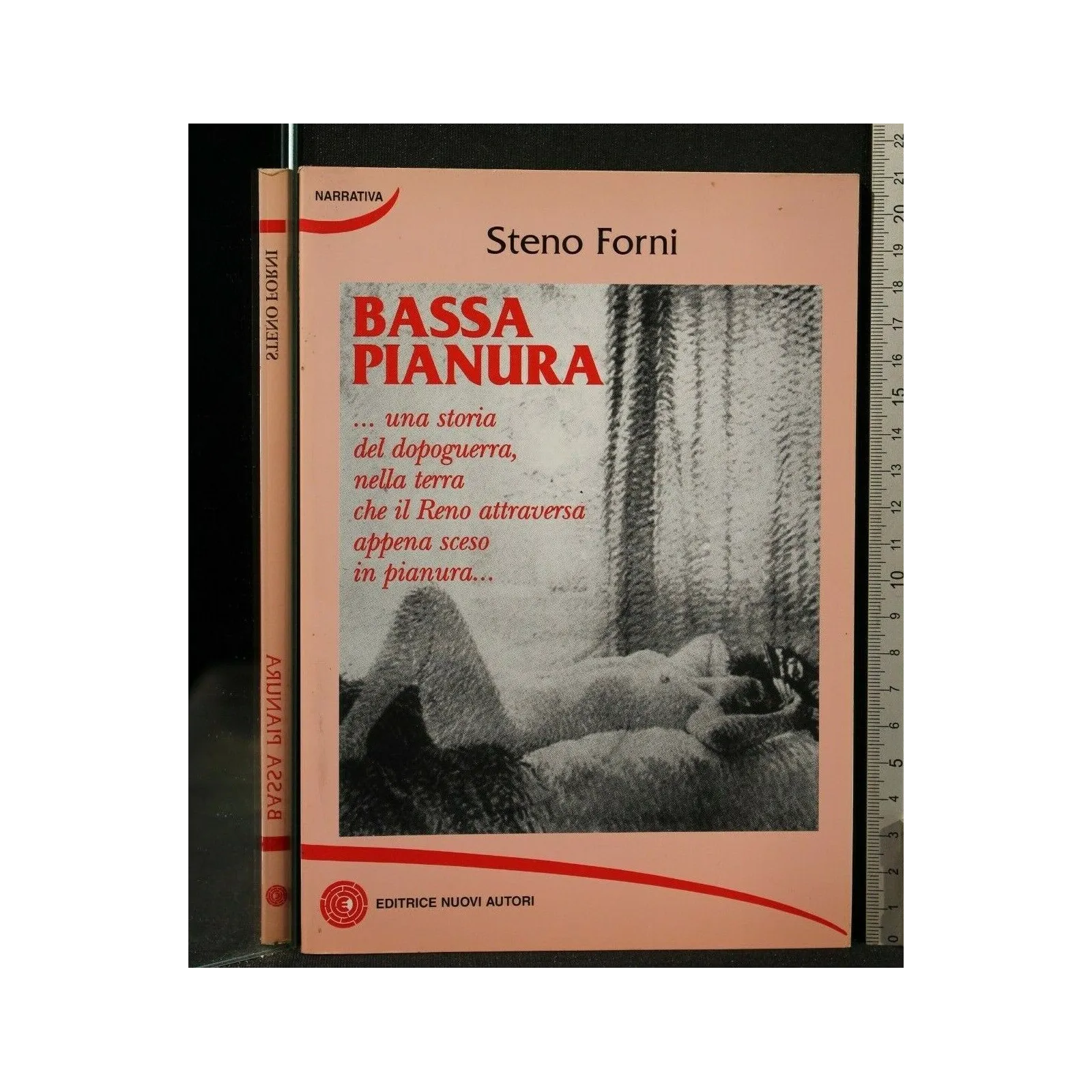 LO SCAMBIOBASSA PIANURA