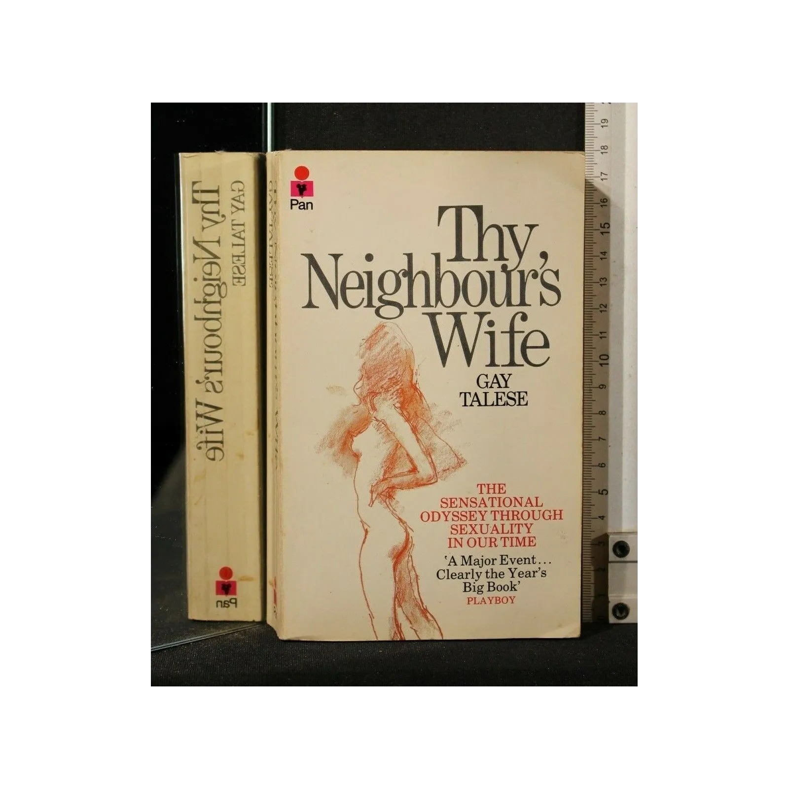 THY NEIGHBOUR'S WIFE