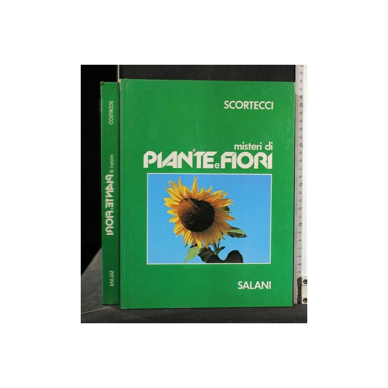 MISTERI DI PIANTE E FIORI