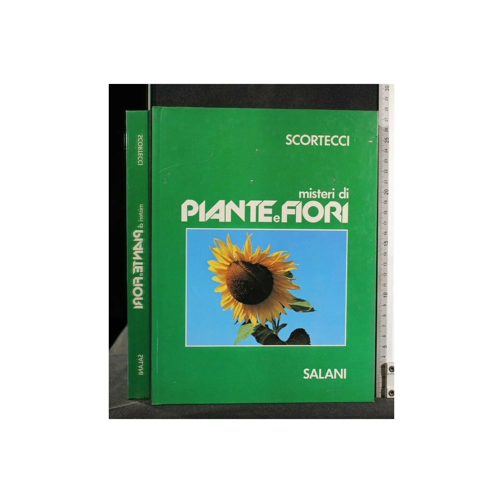 MISTERI DI PIANTE E FIORI