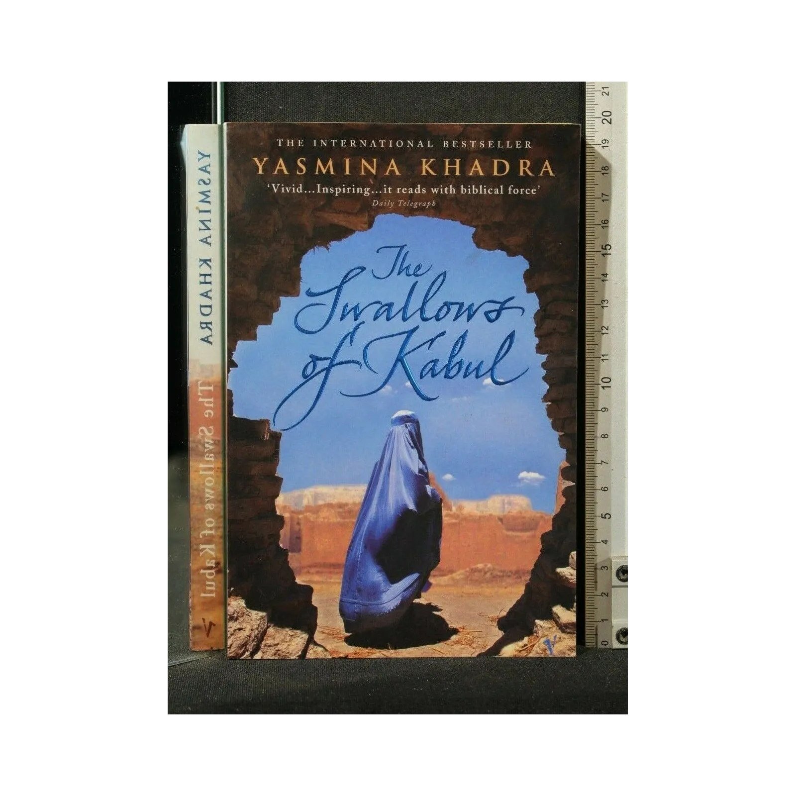 THE SWALLOWS OF KABUL