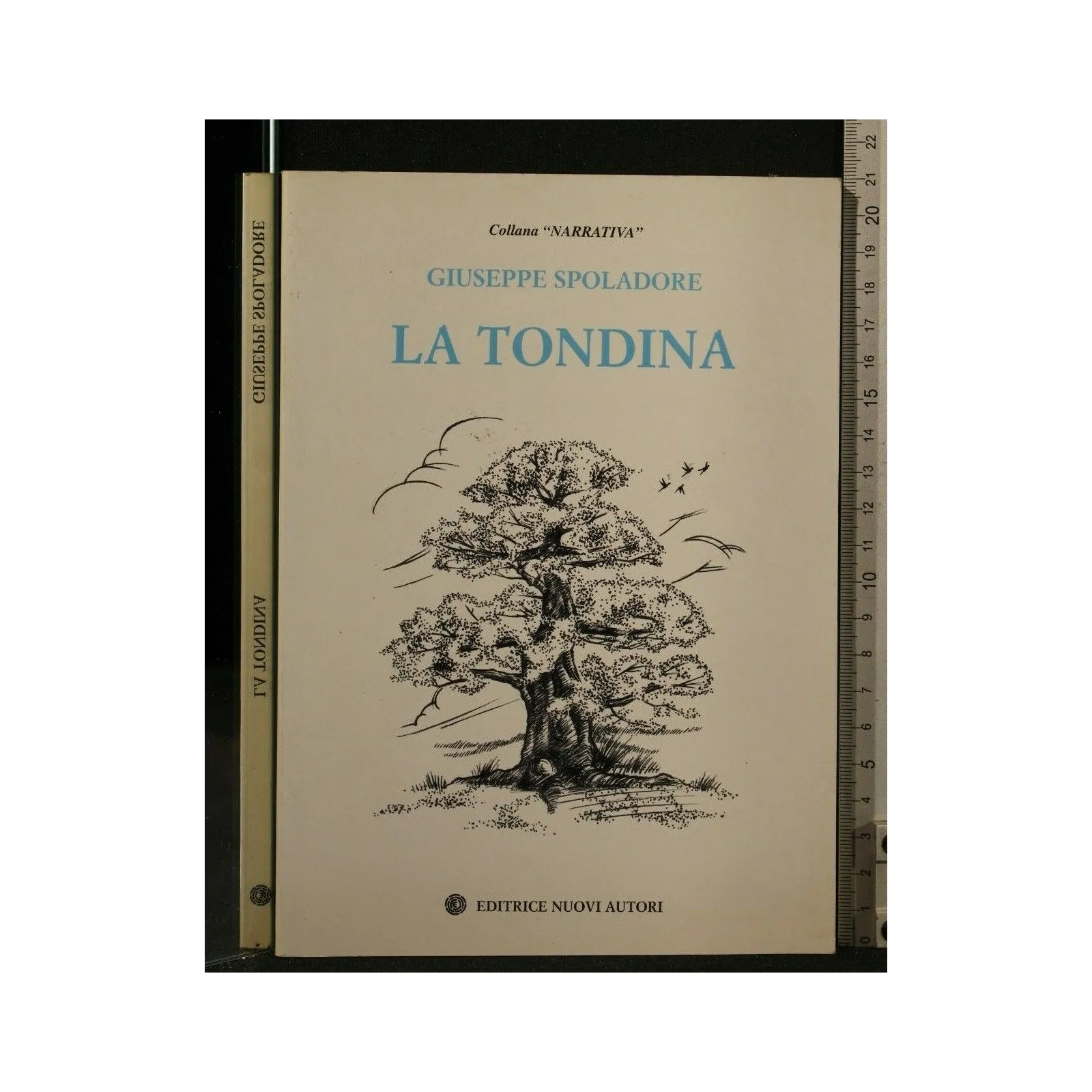 LA TONDINA