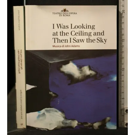 I WAS LOOKING AT THE CEILING AND THEN I SAW THE SKY MUSICA DI