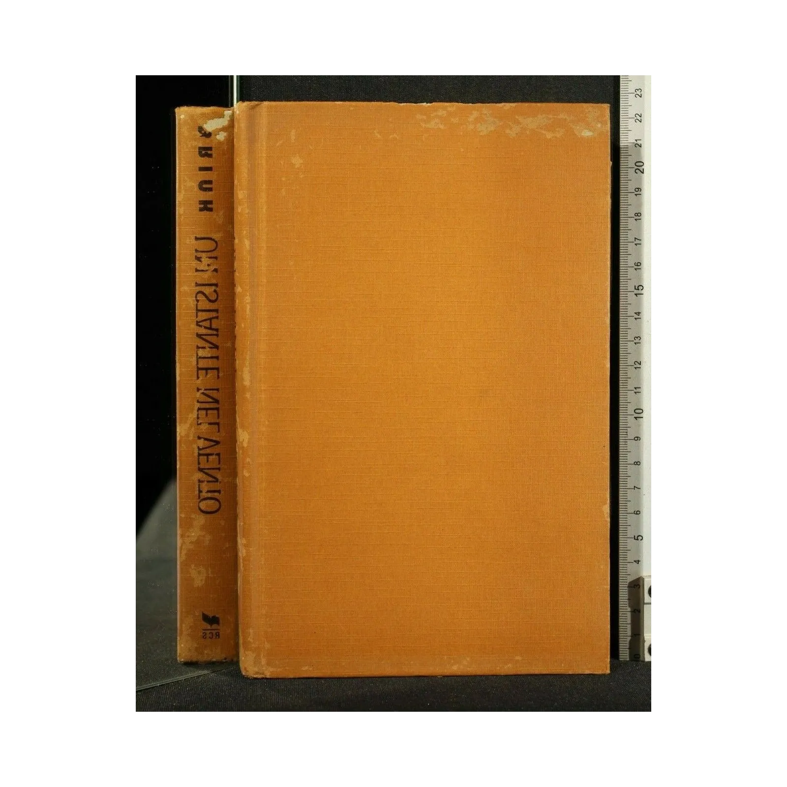 UN ISTANTE NEL VENTO