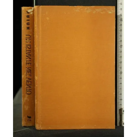 UN ISTANTE NEL VENTO