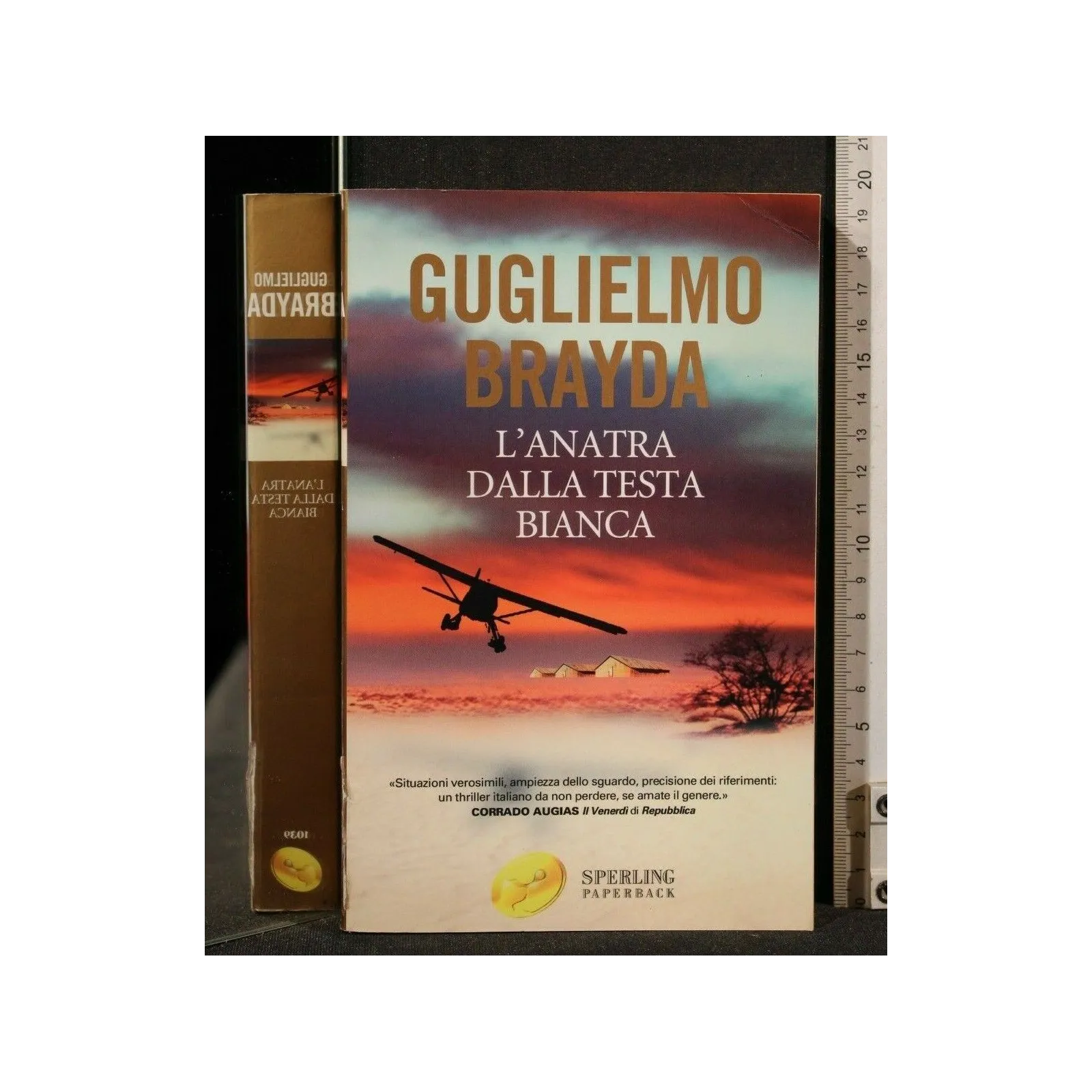 L'ANATRA DALLA TESTA BIANCA