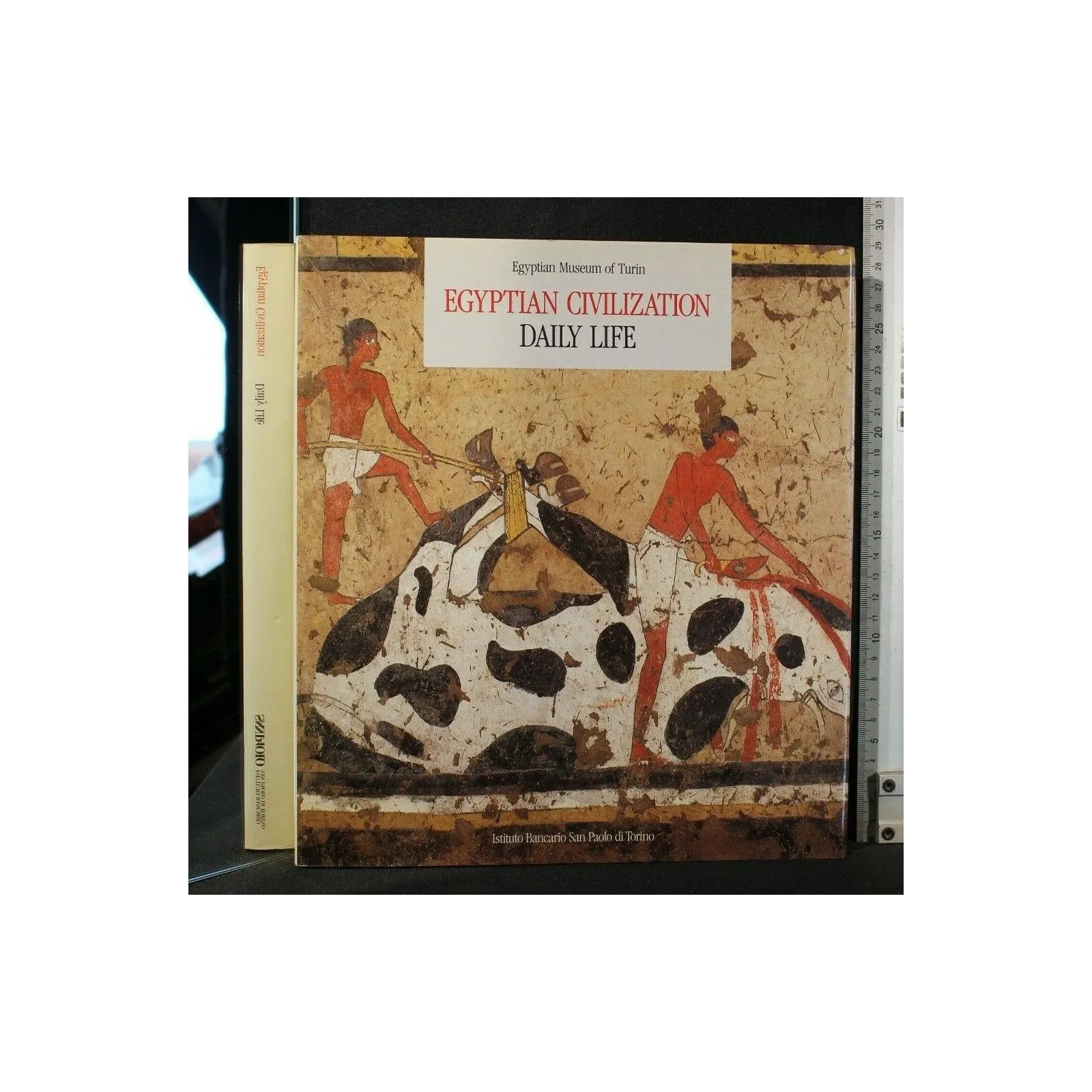 EGYPTIAN CIVILIZATION DAILY LIFE