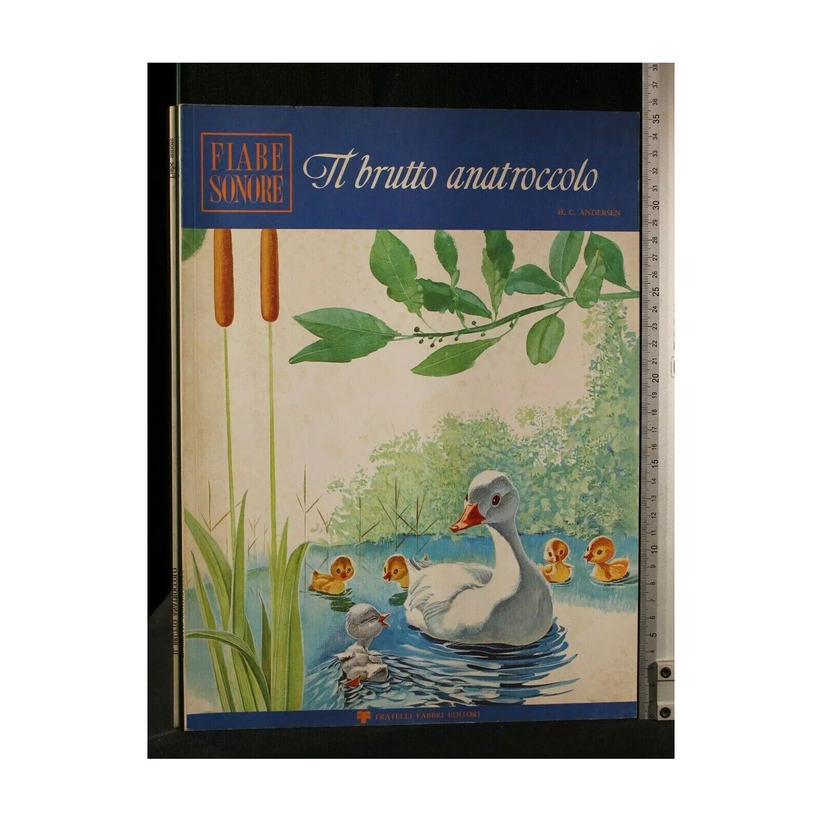 FIABE SONORE IL BRUTTO ANATROCCOLO