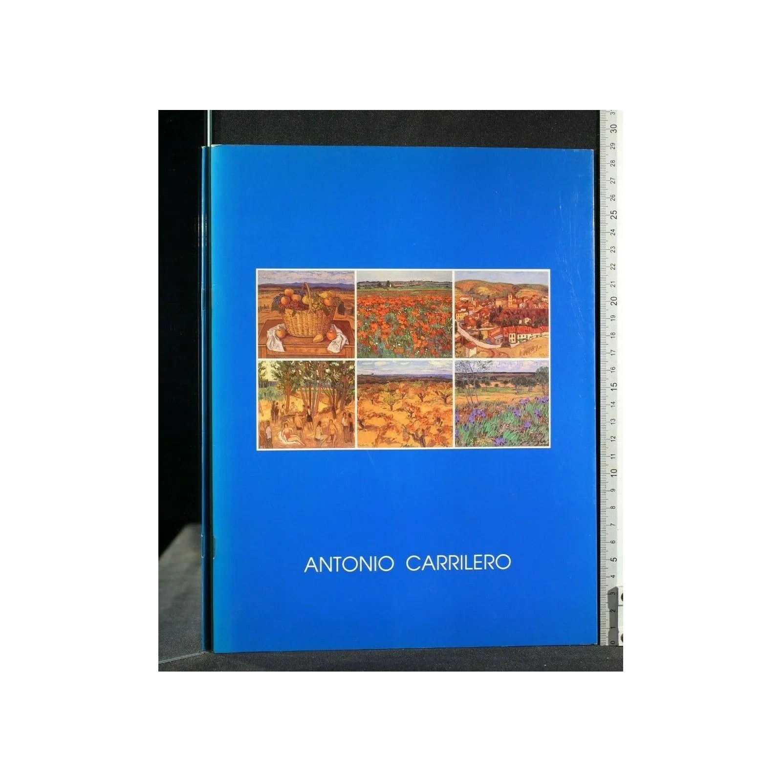 EL PAISAJE HUMANO DE LA MANCHA NOVIEMBRE-DICIEMBRE 1990