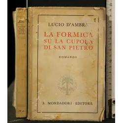 LA FORMICA SU LA CUPOLA DI SAN PIETRO