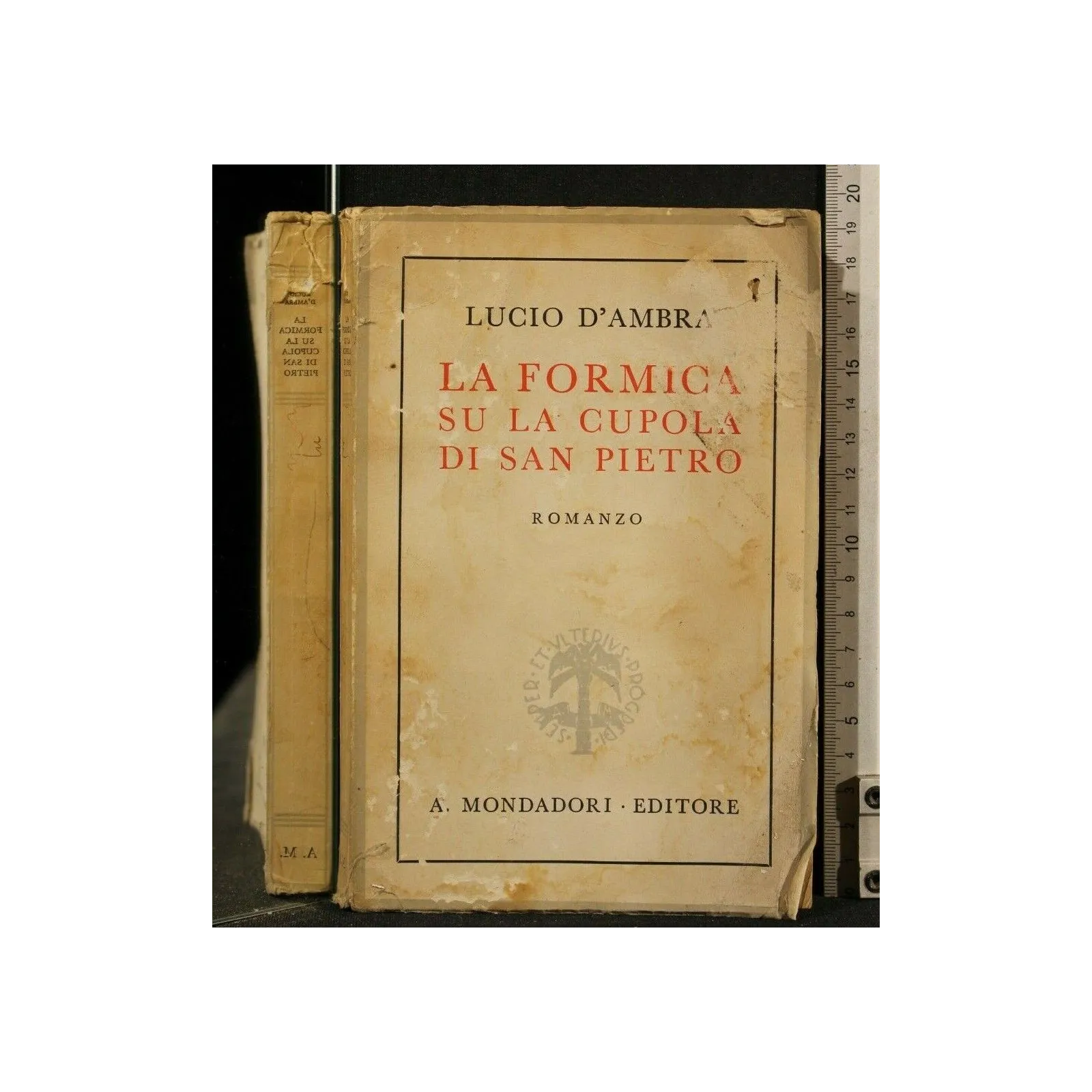 LA FORMICA SU LA CUPOLA DI SAN PIETRO