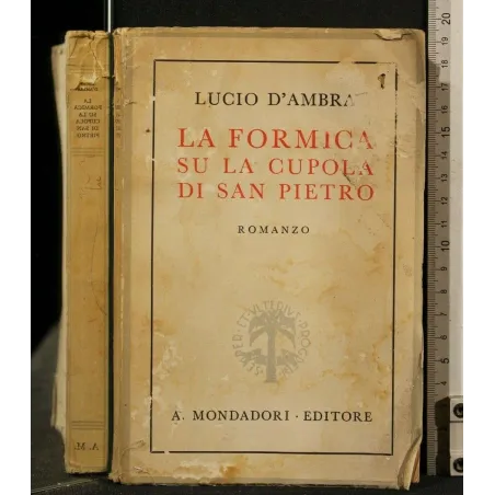 LA FORMICA SU LA CUPOLA DI SAN PIETRO