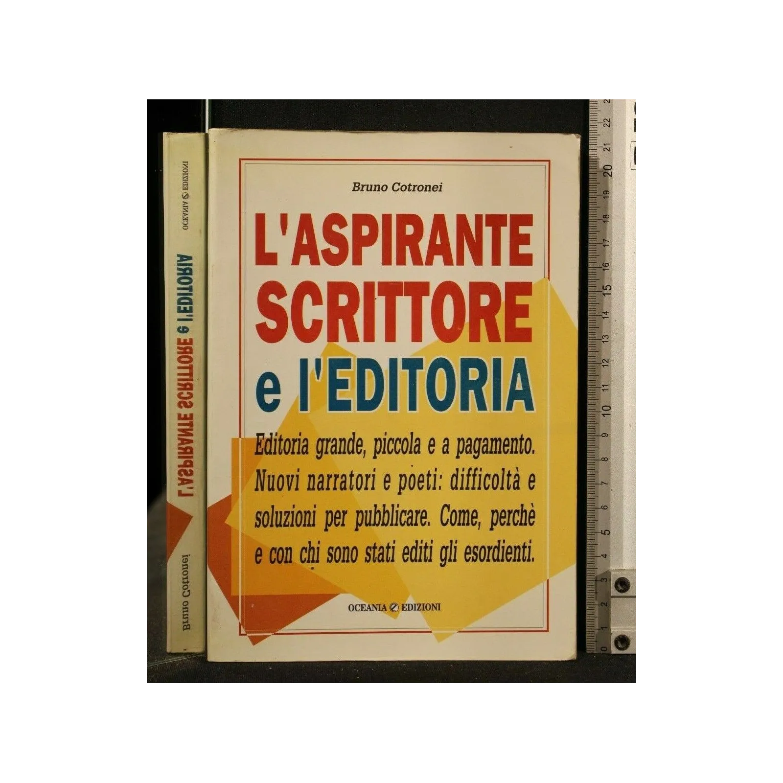 L'ASPIRANTE SCRITTORE E L'EDITORIA