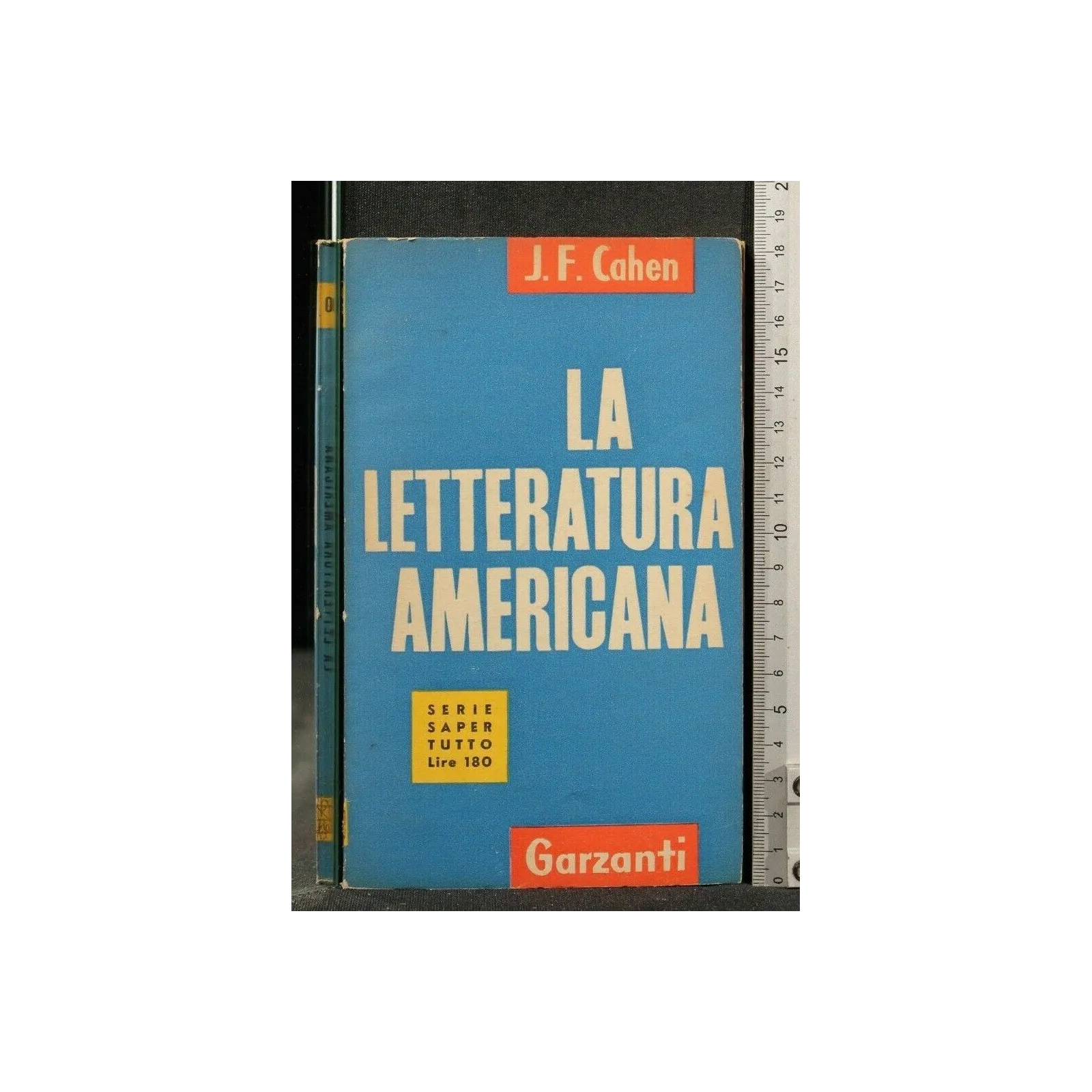 LA LETTERATURA AMERICANA