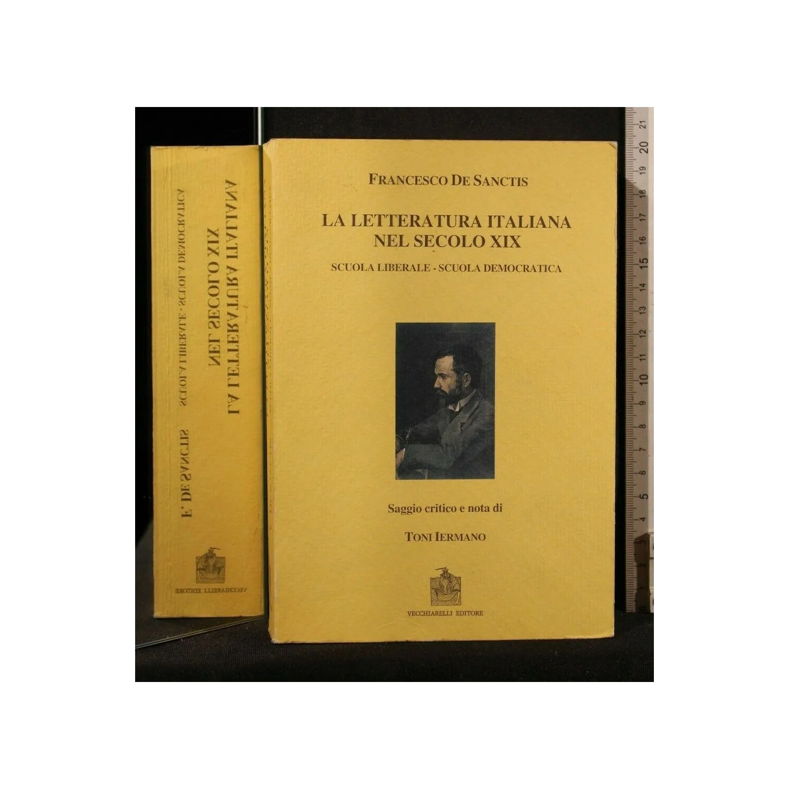 LA LETTERATURA ITALIANA NEL SECOLO XIX