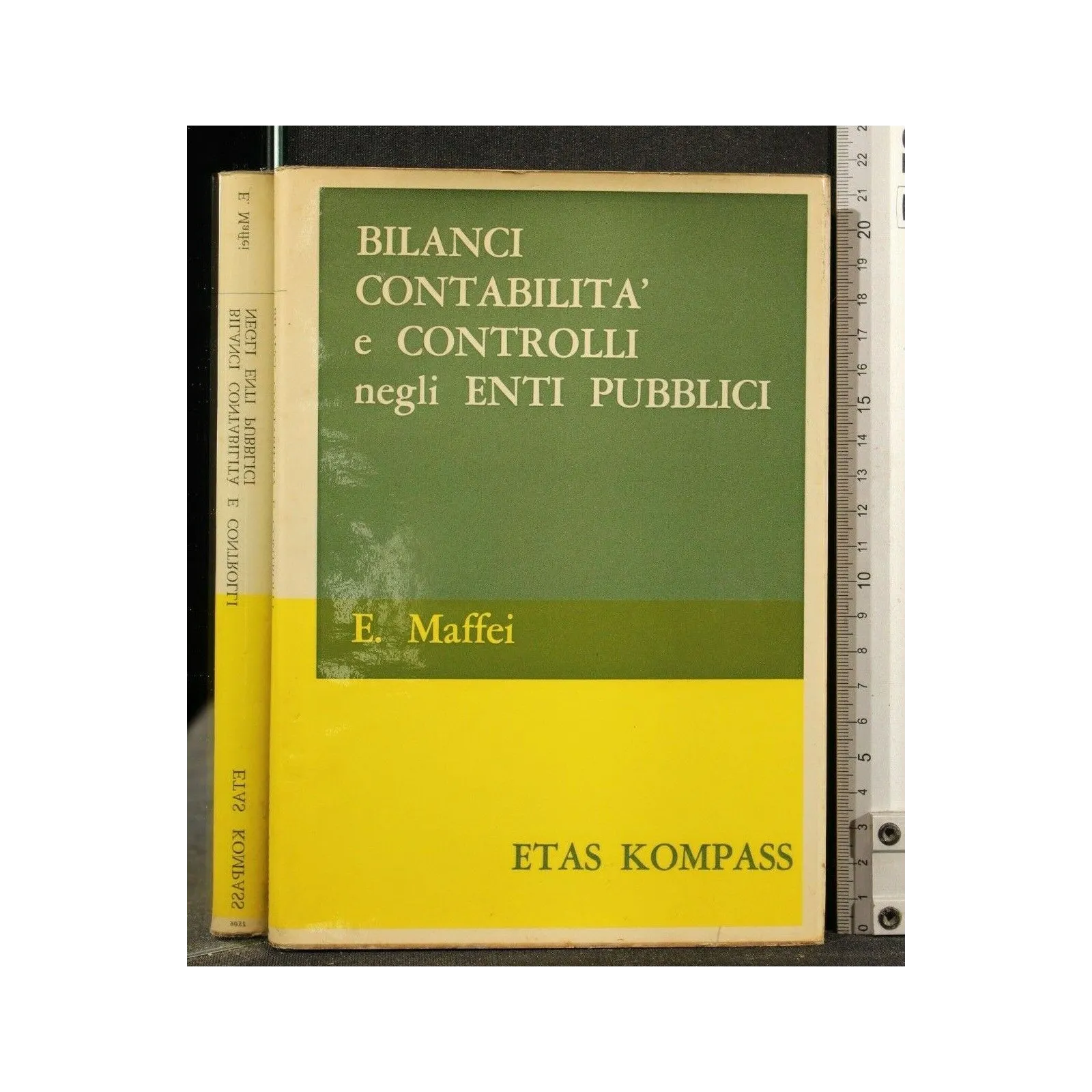 BILANCI CONTABILITA' E CONTROLLI NEGLI ENTI PUBBLICI