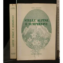 STELLE ALPINE E SEMPREVIVI