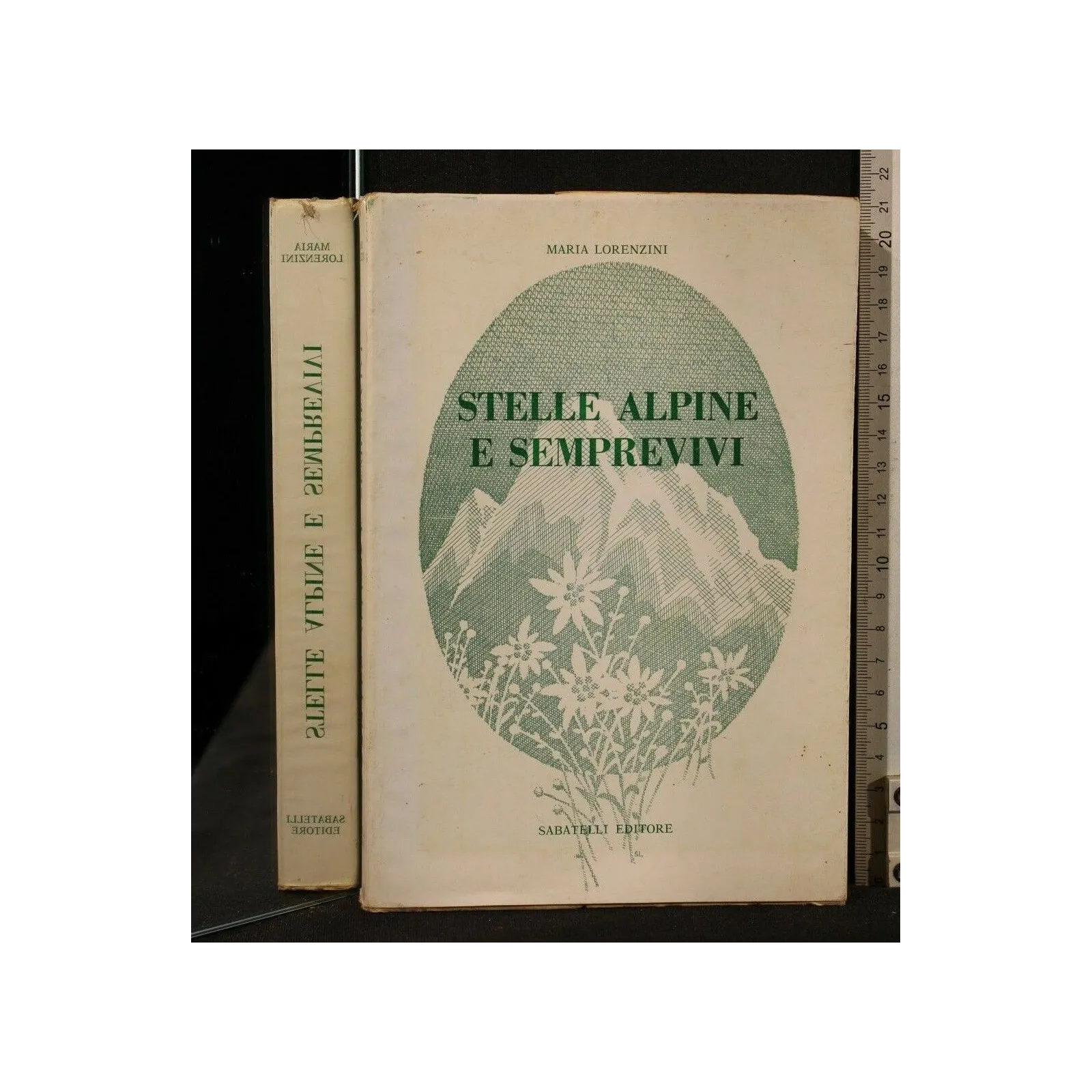 STELLE ALPINE E SEMPREVIVI