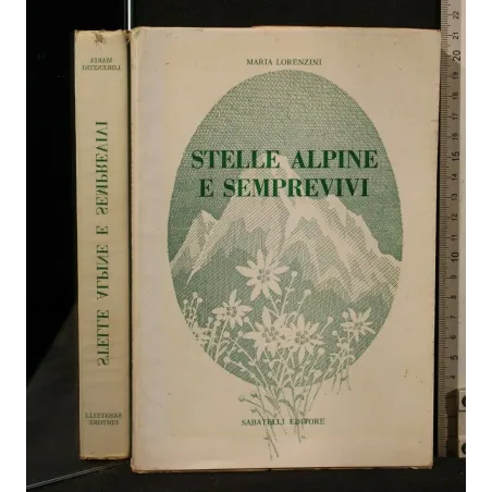 STELLE ALPINE E SEMPREVIVI