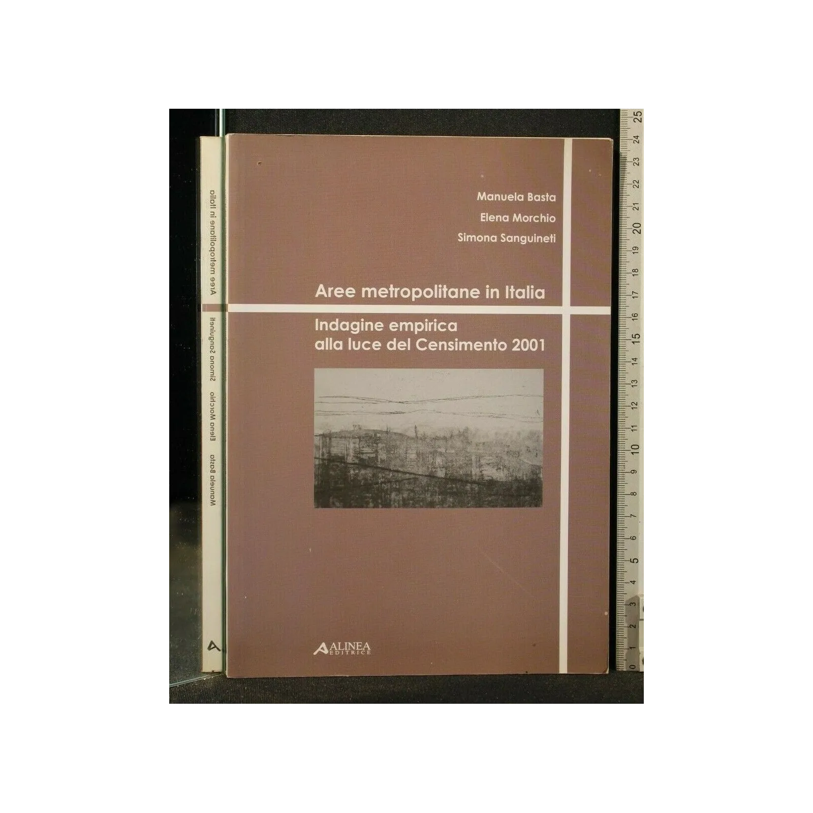 AREE METROPOLITANE IN ITALIA INDAGINE EMPIRICA ALLA LUCE DEL