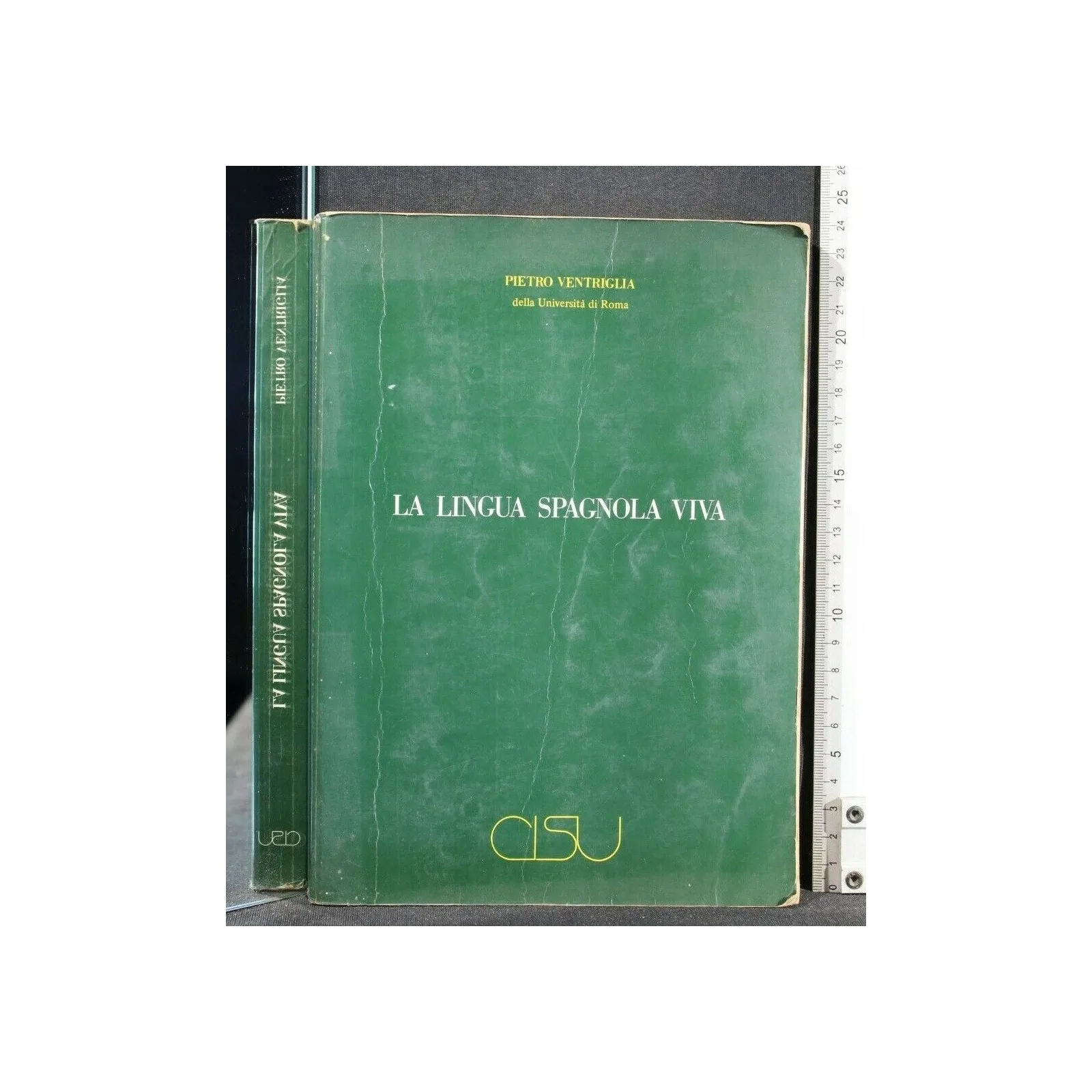 LA LINGUA SPAGNOLA VIVA