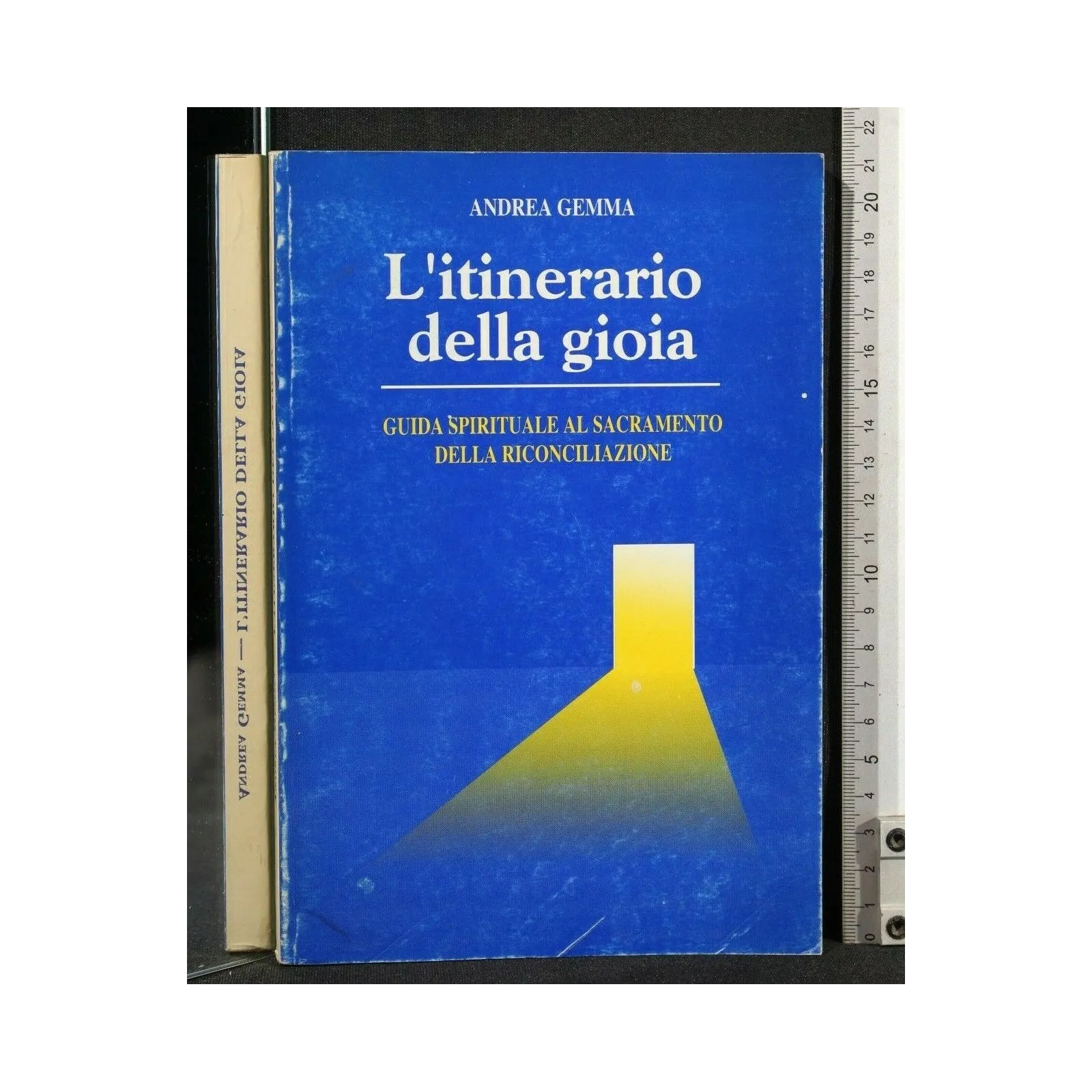 L'ITINERARIO DELLA GIOIA
