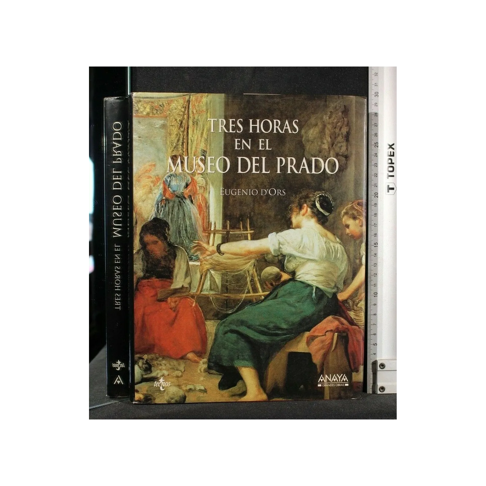 TRES HORAS EN EL MUSEO DEL PRADO