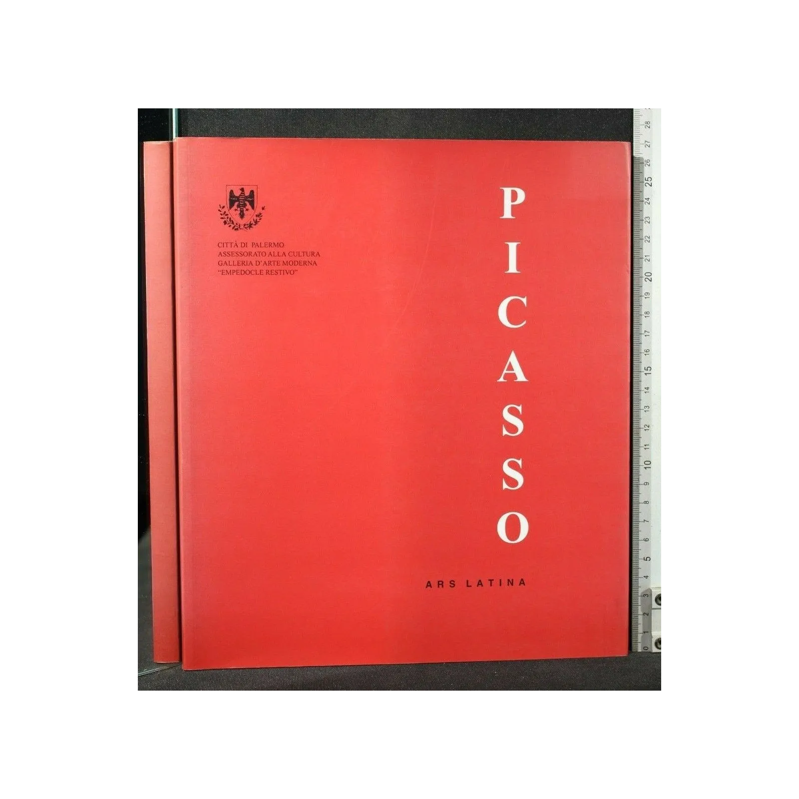 PICASSO GRAVURES INCISIONI