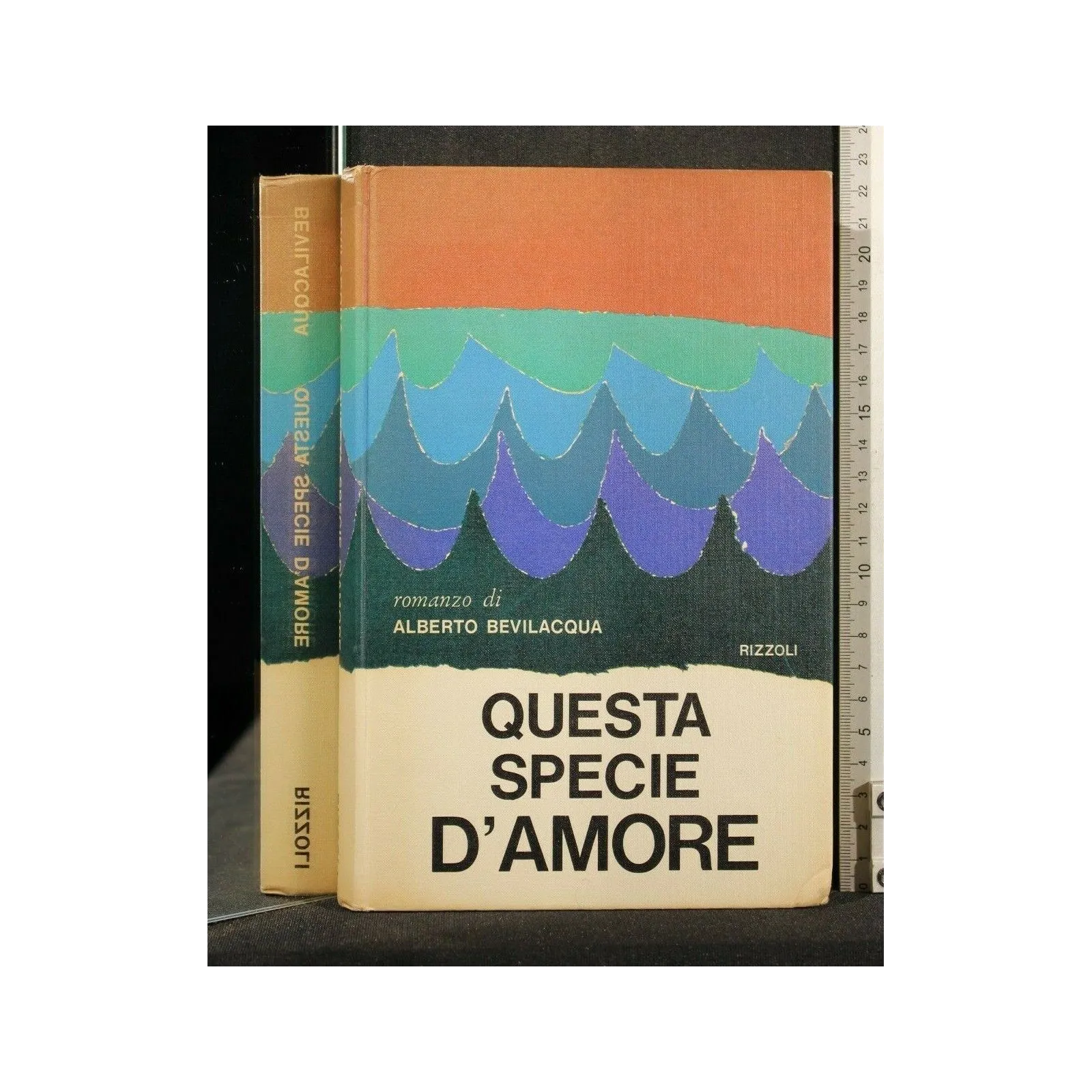 QUESTA SPECIE D'AMORE