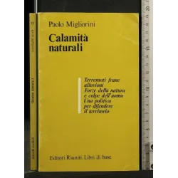 CALAMITA' NATURALI _x000D_