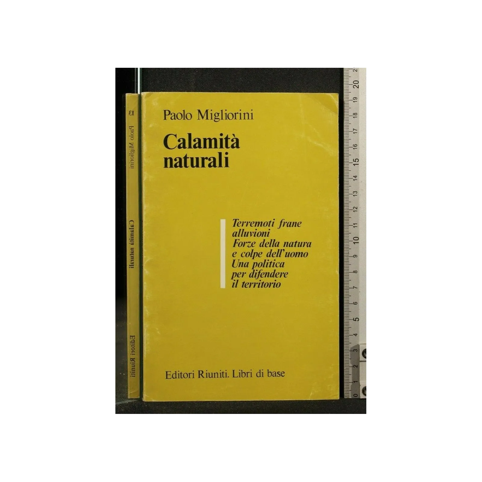 CALAMITA' NATURALI _x000D_