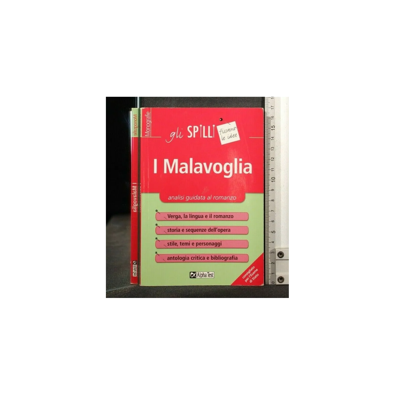 I MALAVOGLIA _x000D_