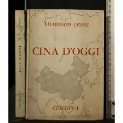 CINA D'OGGI _x000D_