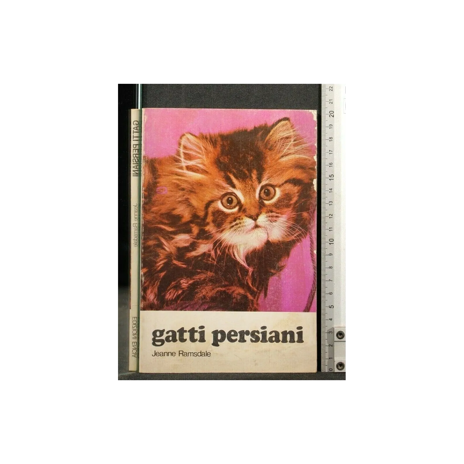 GATTI PERSIANI _x000D_