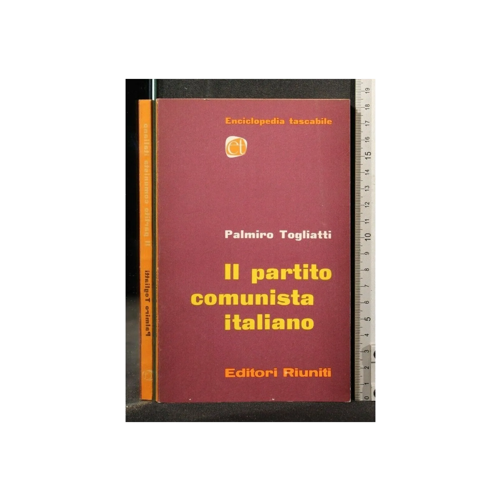 IL PARTITO COMUNISTA ITALIANO _x000D_